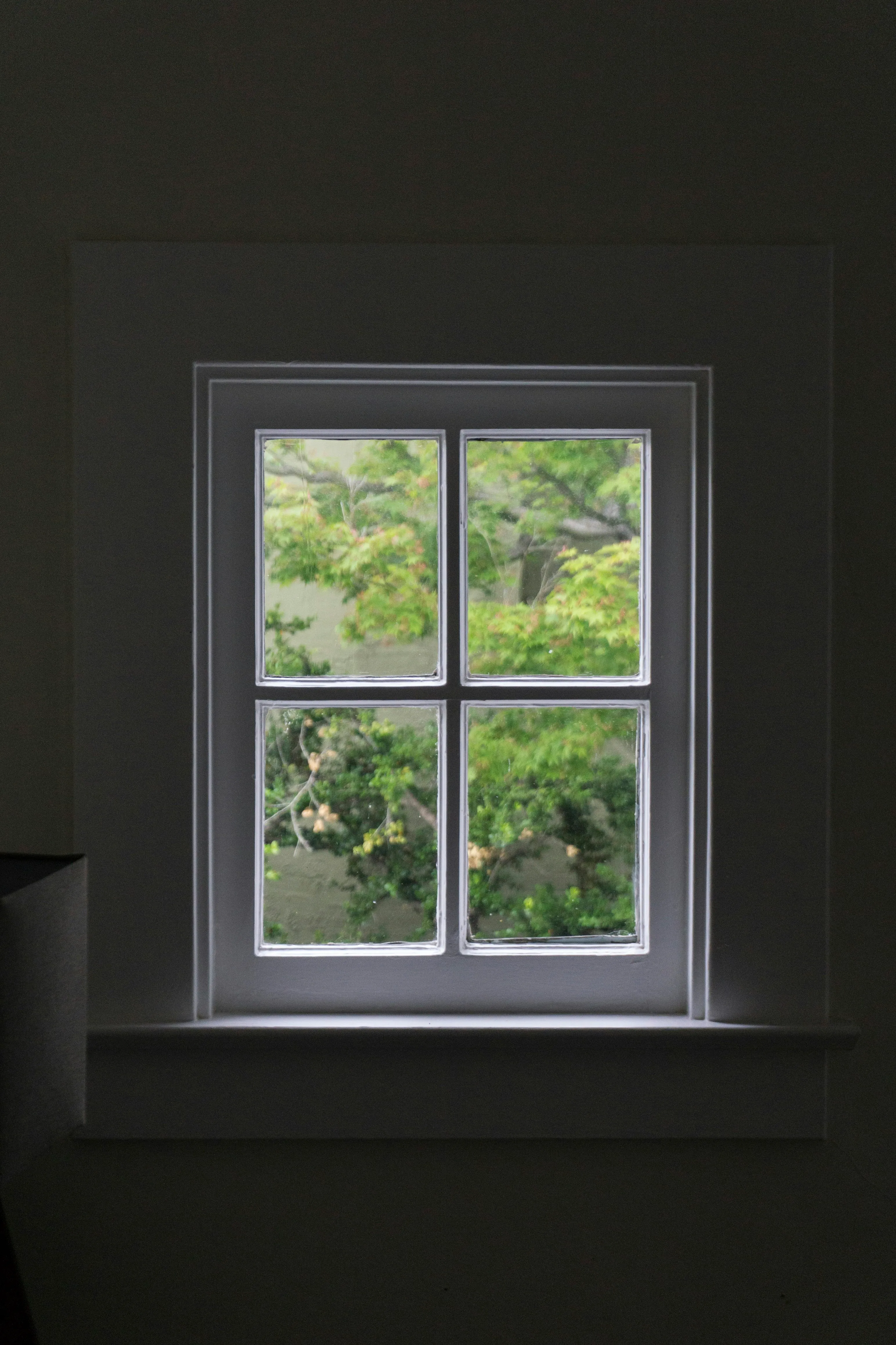 Fensterreinigung Service in Hannover
